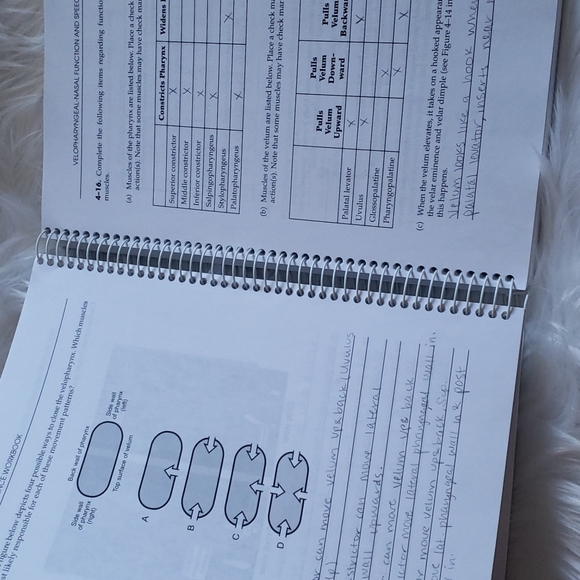 ⚡️ Textbook / Workbook : Preclinical Speech Science Workbook 2nd Edition - Picture 5 of 9